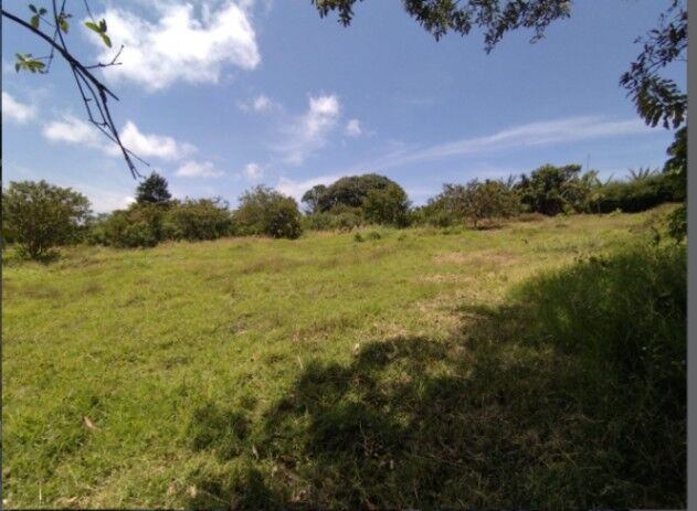 LOTE EN SAN ISIDRO DE HEREDIA en San Francisco, San Isidro, Heredia — ₡ 300 000 000