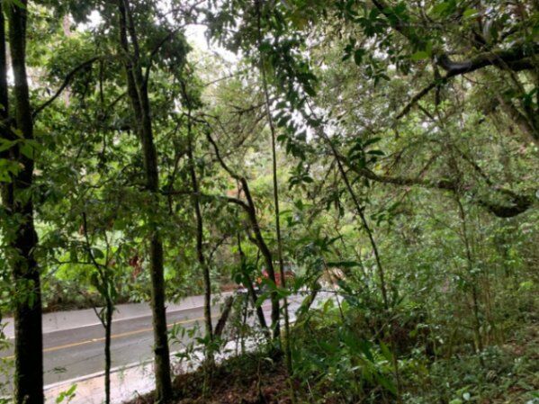 Venta de Lote en El Jardín de Dota, San José. RAH 25-1336 in Jardín, Dota, San José — ₡ 50 000 000