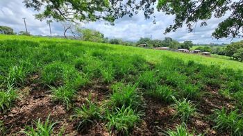 VENTA DE LOTE, USO MIXTO, ALAJUELA, ATENAS, SANTA EULALIA en Santa Eulalia, Atenas, Alajuela — $227,000 - Foto 4 de 6