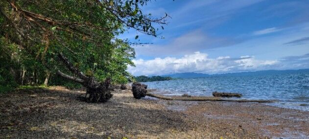 Hermosa propiedad frente a la playa y Golfo Dulce en Puerto Jiménez, Golfito, Puntarenas — $450,000