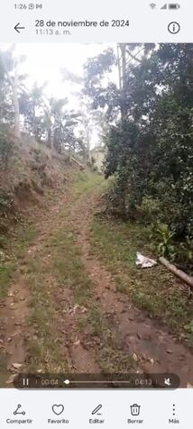 SE VENDE BELLA Y ÚTIL FINCA EN TABARCIA DE MORA.  en Tabarcia, Mora, San José — ₡ 250 000 000
