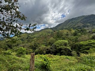 Venta de Finca de 7.1 Ha en Mercedes Sur, Puriscal in Mercedes Sur, Puriscal, San José — 45 000 000 ₡ - Photo 5 of 19