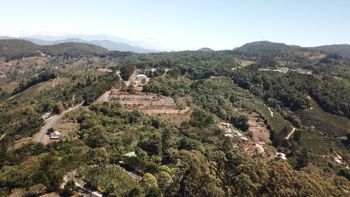 Venta de Finca + Cabaña en León Cortéz-Castro San Andrés, San José. RAH 26-1589 en San Andrés, León Cortés Castro, San José — 140 000 000 ₡ - Foto 4 de 15