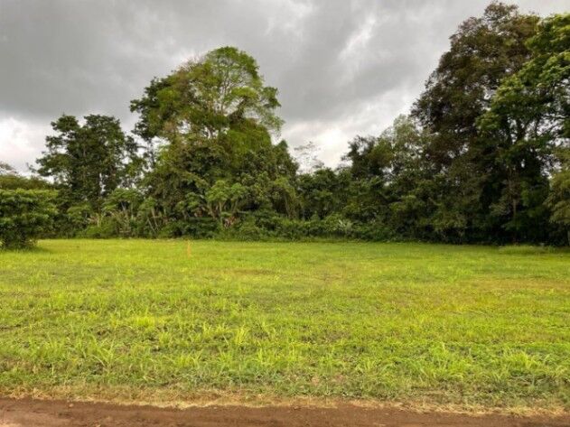MLS-24-1495 LS VENTA LOTE LA FORTUNA SAN CARLOS  en La Fortuna, San Carlos, Alajuela — ₡ 23 000 000