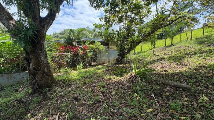 Venta de Lote en El Centro de Quepos, Puntarenas. RAH 27-358 en Quepos, Puntarenas — ₡ 25 500 000