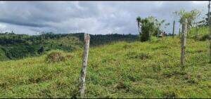 Venta de Extenso Terreno en Turrialba, Cartago / OFC en La Suiza, Turrialba, Cartago — $180,000