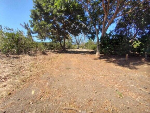 Se vende amplio lote de 5000m2 en Santo Tomas Heredia 25-438 in Santo Tomás, Santo Domingo, Heredia — ₡ 100 000 000