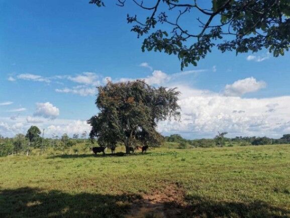 MLS-25-1097 VENTA FINCA POCOSOL SAN CARLOS en Pocosol, San Carlos, Alajuela — $1,800,000