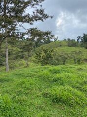 SE VENDE BELLA Y GRANDE FINCA EN SIQUIRRES, LIMÓN.  in Pacuarito, Siquirres, Limón — $800,000 - Photo 4 of 4