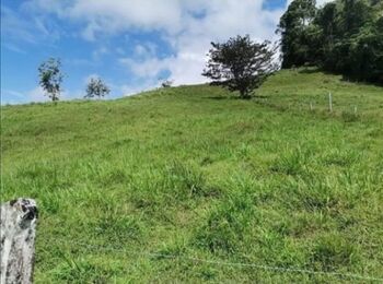 ESPECTACULAR FINCA EN CUTRIS DE SAN CARLOS.  en Cutris, San Carlos, Alajuela — 225 000 000 ₡ - Foto 5 de 11