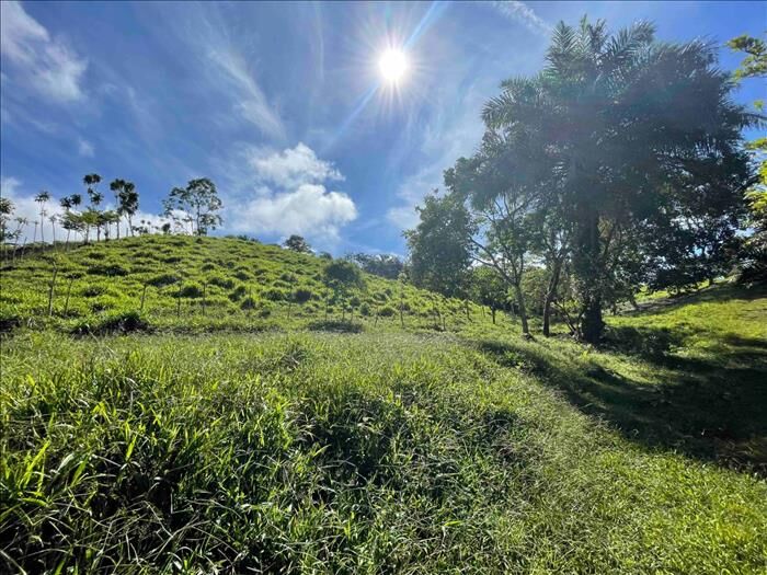 2.5 HEC / 6.17 ACRES LOT IN QUIZARRÁ  en Cajón, Pérez Zeledón, San José — $140,000