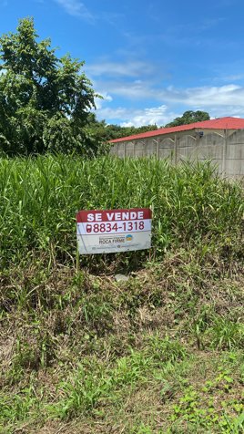 SE VENDE - Lote - Palmar Norte - GANGA - REBAJADO en Palmar, Osa, Puntarenas — ₡ 14 500 000 - Foto 2 de 8