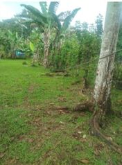 Finca  EN VENTA 2HA  Río Celeste- GUATUSO  en Katira, Guatuso, Alajuela — 65 000 000 ₡ - Foto 5 de 12