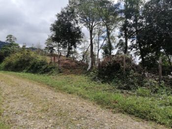Terreno 5384 m2 Zona Sur, montañas de Puerto Cortes, Costa Rica. in Puerto Cortés, Osa, Puntarenas — $29,500 - Photo 5 of 5