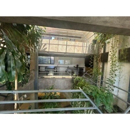 ALQUILER DE EDIFICIO GREEN, SAN JOSE, PASEO COLÓN   en Carmen, San José — $3,500