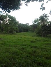 SE VENDE PRECIOSA FINCA EN LA VIRGEN DE SARAPIQUÍ.  in La Virgen, Sarapiquí, Heredia — 38 000 000 ₡ - Photo 4 of 10