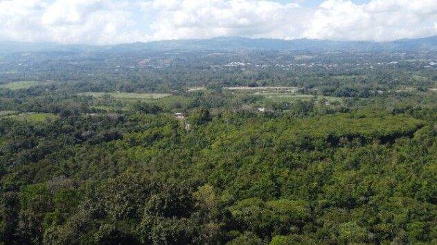 7+hectares de bosque con rio en La Hermosa, Perez Zeledon, Costa Rica. en El General, Pérez Zeledón, San José — $125,000