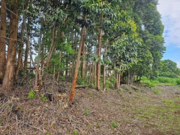 Se Vende de Extenso Terreno en La Unión, Cartago / OFC Mls. 25-682 in San Juan, La Unión, Cartago — $706,000