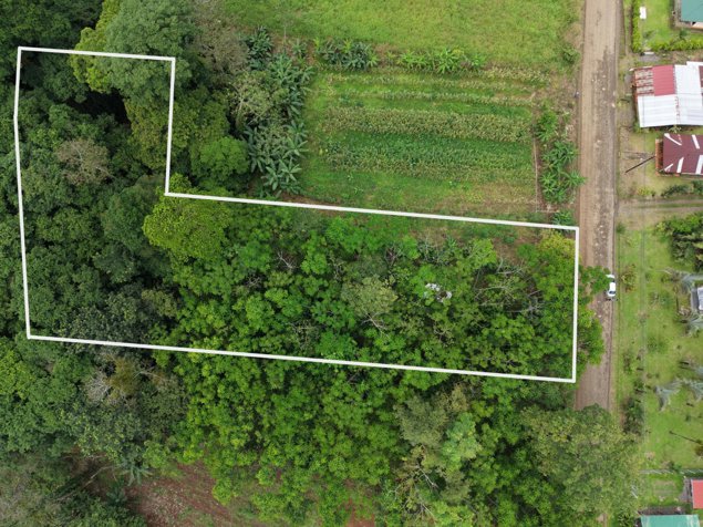 🌿 Terreno en venta El Futuro, La Tigra | 2.773 m²  |  ₡49.000.000 en La Tigra, San Carlos, Alajuela — ₡ 49 000 000