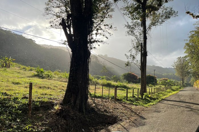 Finca Agrícola o Turística,Orosi Valley Cartago 330 Hect (815 acres) en Orosi, Paraíso, Cartago — $6,500,000