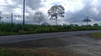 DE OPORTUNIDAD BELLA PROPIEDAD EN TANQUE, FORTUNA DE SAN CARLOS.  en La Fortuna, San Carlos, Alajuela — 50 000 000 ₡ - Foto 4 de 7