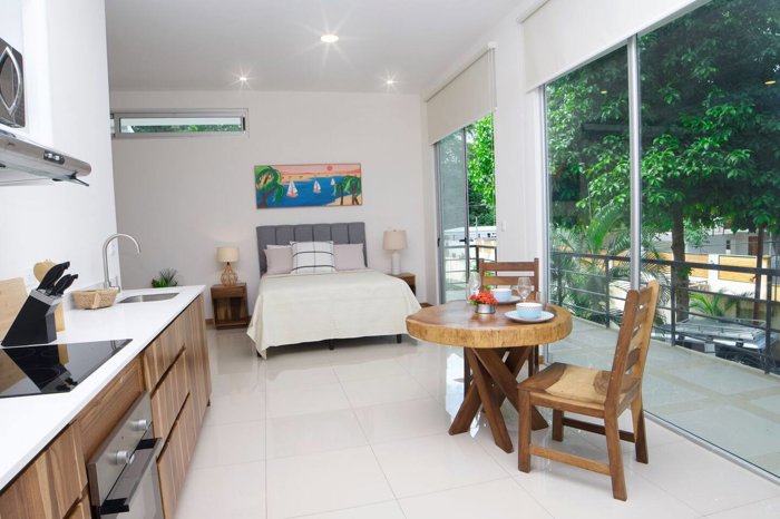 Apartamento tipo estudio en alquler Playa Potrero, Guanacaste en Santa Cruz, Guanacaste — $1,300