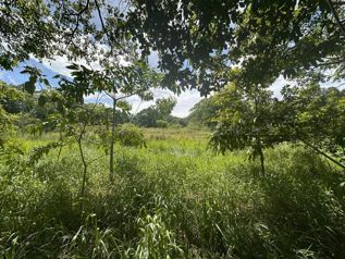 Venta de Lote en Turrúcares de Alajuela. RAH 27-529 USO DE SUELO AGRÍCOLA - Photo 3 of 3