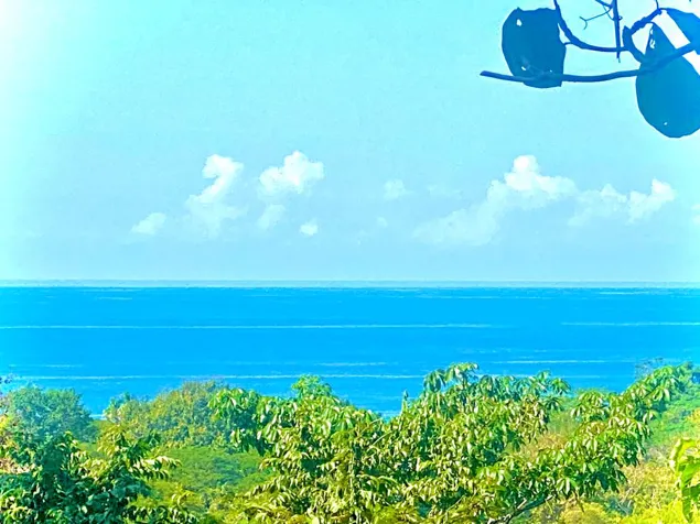 Hermoso terreno en Playa Hermosa de Cobano con gran vista al Océano en Cóbano, Puntarenas — $5,250,000 - Foto 2 de 46