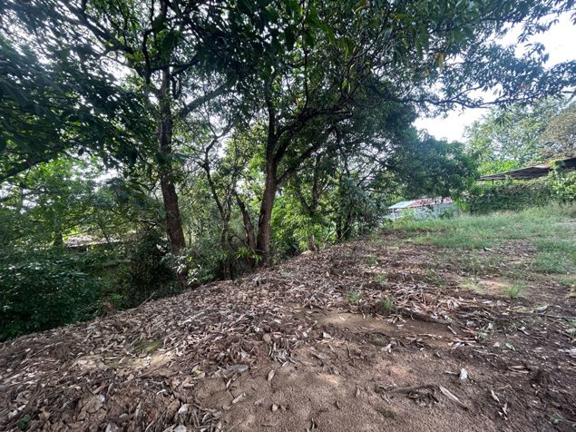 VENTA DE LOTE COMERCIAL, GUANACASTE, NICOYA CENTRO en Nicoya, Guanacaste — ₡ 285 000 000 - Foto 2 de 8