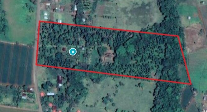 RIO CUARTO - FINCA  in Santa Rita, Río Cuarto, Alajuela — ₡ 150 000 000