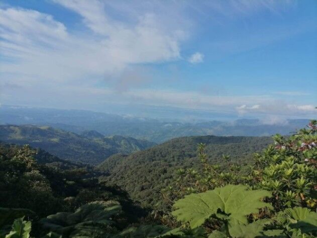 ¡Oportunidad Única! Finca de Ensueño en Zona de Alta Plusvalía por Solo ₡50 Millones.  en Zapotal, San Ramón, Alajuela — ₡ 50 000 000