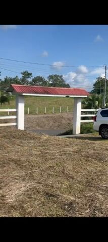 BELLA PROPIEDAD CERCANA A LA FORTUNA DE SAN CARLOS, ALAJUELA.  in Peñas Blancas, San Ramón, Alajuela — ₡ 42 500 000