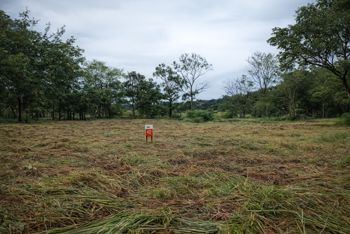 Lotes en Venta – Proyecto Cascada con Acceso Privado a Catarata