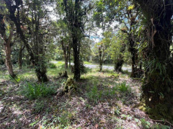 Venta de Lote en Dota, San José. RAH 25-1964 in Jardín, Dota, San José — ₡ 16 500 000