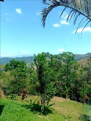 OPORTUNIDAD!! Se Vende Finca de 15,000 m²  in Guayabo, Mora, San José — 139 000 000 ₡ - Photo 4 of 5