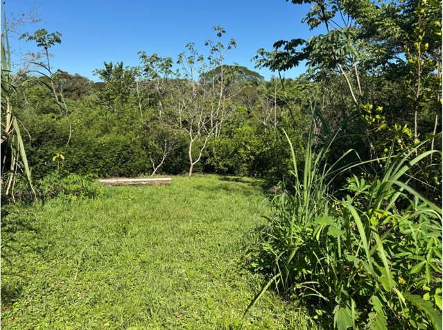 Lote con Pozo Artesiano en La Palmita – Cerca de Playa Hermosa in Cóbano, Puntarenas — $165,000 - Photo 3 of 7