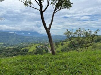 Venta de Extenso Lote de Terreno en Atenas, Alajuela / Mls. 26-956 OFC JB en Atenas, Alajuela — $90,000 - Foto 4 de 6