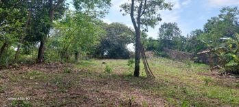  Lote en Venta – Orotina, Alajuela-2000 m2 in Coyolar, Orotina, Alajuela — 43 000 000 ₡ - Photo 4 of 5