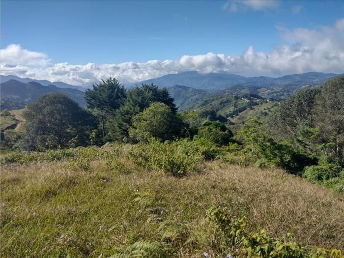 VENTA DE LOTE, SAN JOSE, LEON CORTES, CEDRAL en Desamparados, San José — ₡ 60 000 000