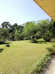 Venta De Finca Ganadera En Limón Guácimo Pocora Sur  La Florida in Pocora, Guácimo, Limón — 363 000 000 ₡ - Photo 4 of 9