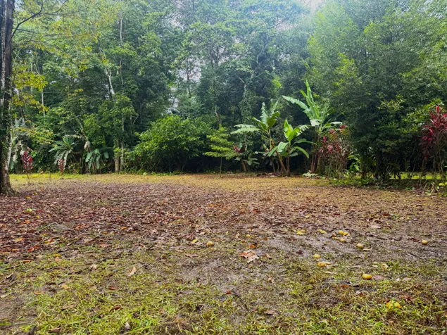 Se vende terreno de 3000 m² a 5 min de Puerto Vargas, Cahuita (PA) en Cahuita, Talamanca, Limón — $240,000 - Foto 2 de 7