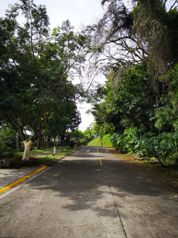 Venta de Lote en Hacienda Bambues Santa Ana - COD SM1386 in Brasil, Santa Ana, San José — $175,000 - Photo 4 of 14