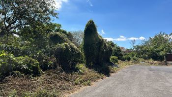VENTA TERRENO DE DESARROLLO, HEREDIA, SANTO DOMINGO en Santo Tomás, Santo Domingo, Heredia — $10,278,000 - Foto 4 de 10