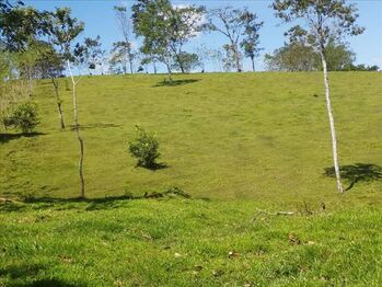 Farm For Sale San Rafael, Guatuso, Alajuela