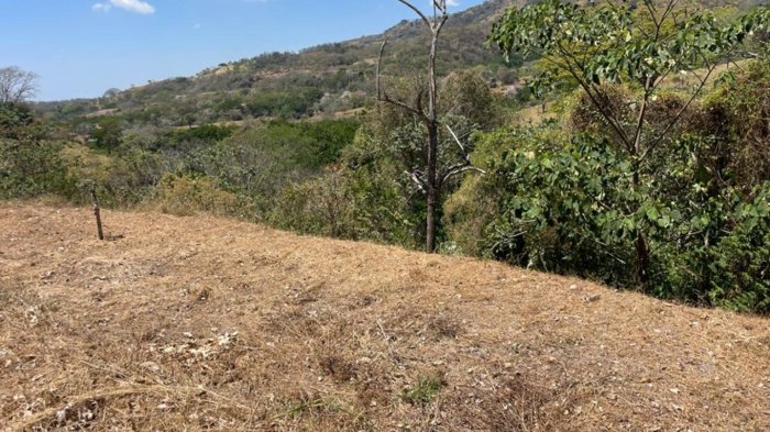 Lote con vistas hacia el pacifico ubicada 5 minutos de la pista 27 en Atenas, Alajuela — $80,000 - Foto 3 de 9