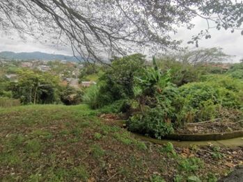 Se vende amplio lote con mas de 6,700m2 en San Ramon Alajuela 24-1765 en San Ramón, Alajuela — $1,500,000 - Foto 4 de 10