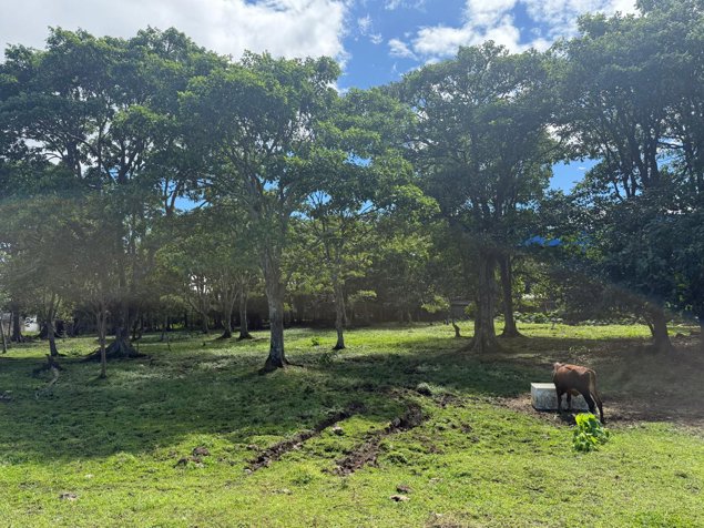 Venta de terreno en San Pedro, Montes de Oca en San Pedro, Montes De Oca, San José — $4,200,000