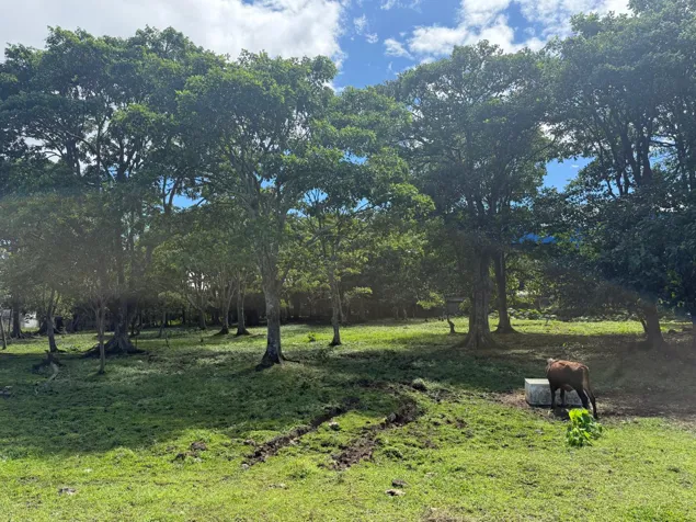 Venta de terreno en San Pedro, Montes de Oca en San Pedro, Montes De Oca, San José — $4,200,000