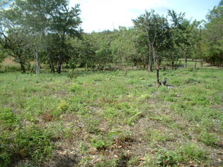 Venta de Finca en Bagaces in Bagaces, Guanacaste — $210,000 - Photo 3 of 12