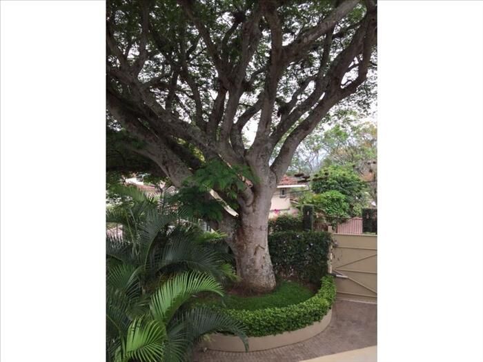 VENTA DE CASA DE LUJO, SAN JOSE, ESCAZU, JABONCILLOS en Escazú, San José — $2,100,000